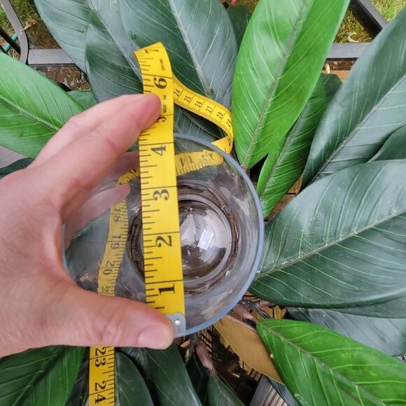 Candle Holder - Picture 7 of 11